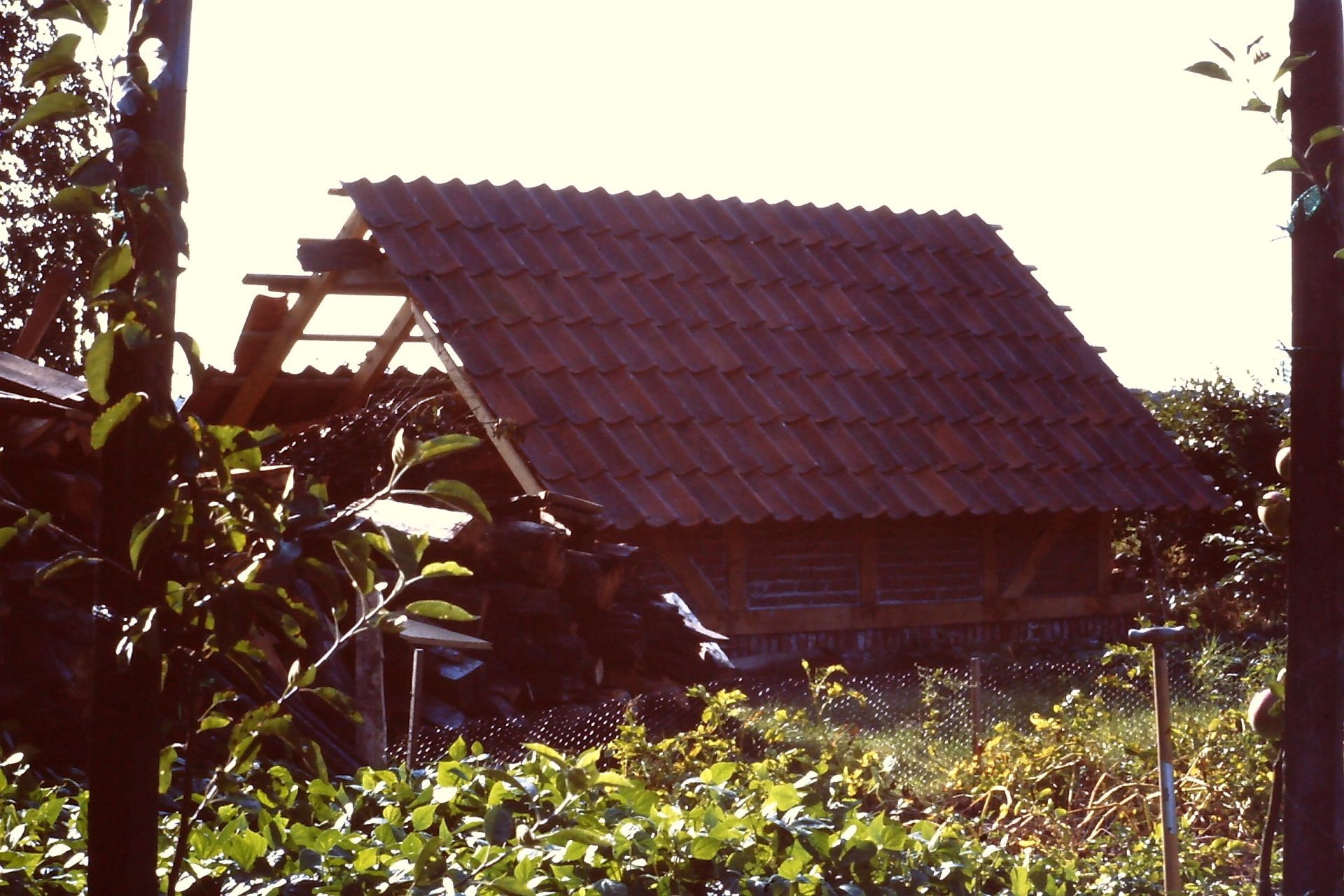 Teileingedecktes Dach des Backhauses 